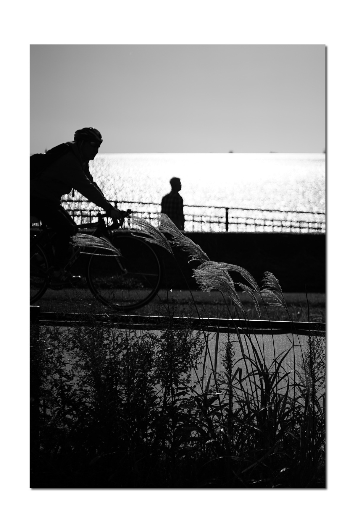 hasseleica:  silhouette  …