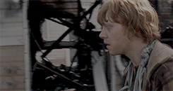 harrypottzr:    Everyone expects me to do as well as the others, but if I do, it’s no big deal, because they did it first.   