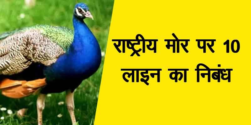 rashtriya pakshi mor par 10 line, राष्ट्रीय पक्षी मोर पर 10 लाइन, मोर पर 10 लाइन, राष्ट्रीय पक्षी मोर पर 10 लाइन hindi, राष्ट्रीय पक्षी मोर पर 10 लाइन class 4, मोर पर 10 वाक्य