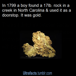 ultrafacts:  In 1799, a young Conrad Reed found a 17-pound shiny rock while playing at a creek on his family farm in Cabarrus County, North Carolina. He and his family kept it as a doorstop until 1802. His father John Reed took the rock to a jeweler who