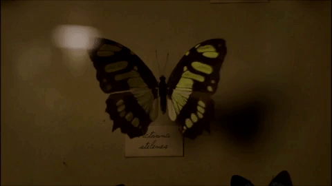 the-prince-of-professors:Les Revenants  (S.1 Ep.1 - Camille)