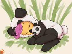 alasou:  Pandas are cute. Scootaloo is cute.