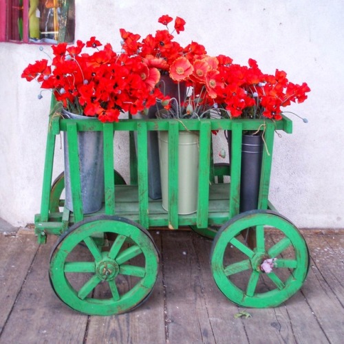 Red Artificial Flowers in a Green Wagon, Taos, New Mexico, 2006.