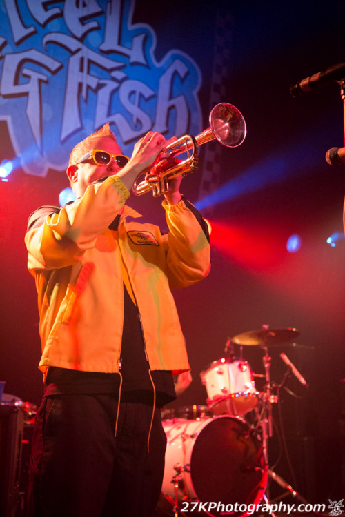 Reel Big Fish playing Water Street Music Hall in Rochester, NY on 3.20.14 - part of the Don’t 