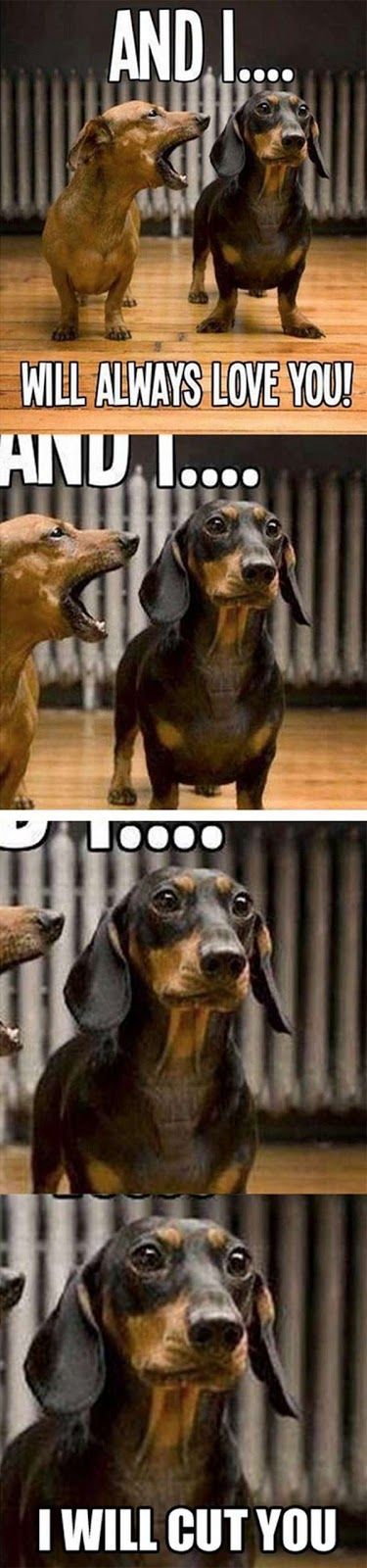 First memes