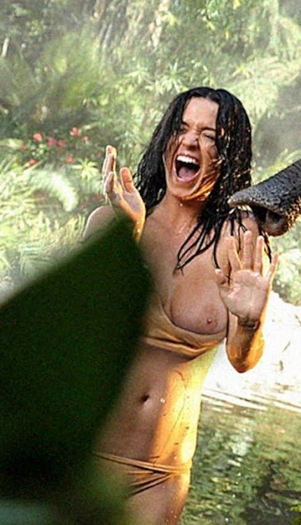 Porn celebrityreadymade:  Katy Perry boobs slip photos