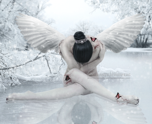 the raven's flight of dreams desires and whatnots