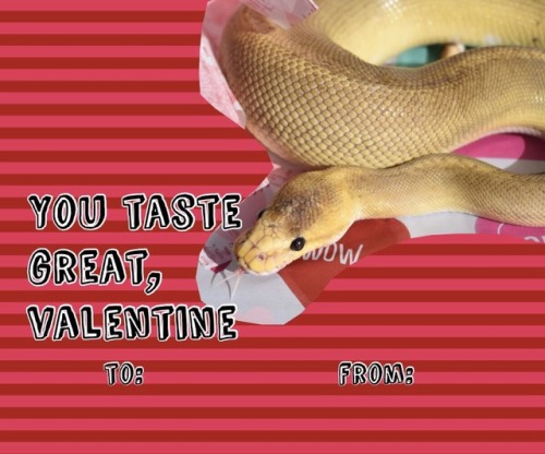 so uh i made some callouts in the form of valentines, hope you enjoy