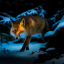foxwitlocs