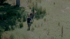 iheartnewt:   The wall’s gonna hold together. Can you? 