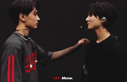 JAYWON: Maybe Meow Will Be Our Always.