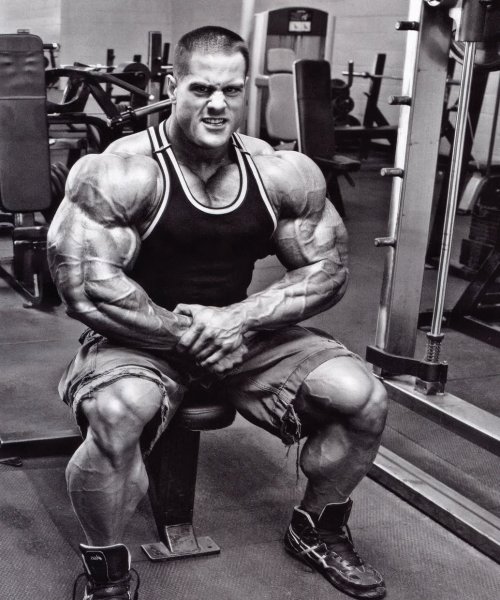 musclejake69:Evan Centopani