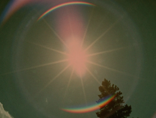 365filmsbyauroranocte: Star Garden (Stan Brakhage, 1974)