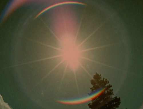 365filmsbyauroranocte:Star Garden (Stan Brakhage, 1974)