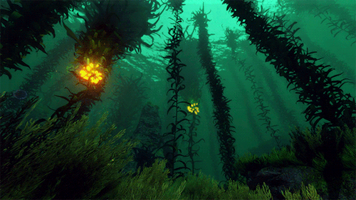 entreri: Subnautica » Kelp Forest  
