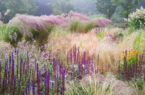 Beautiful Nature