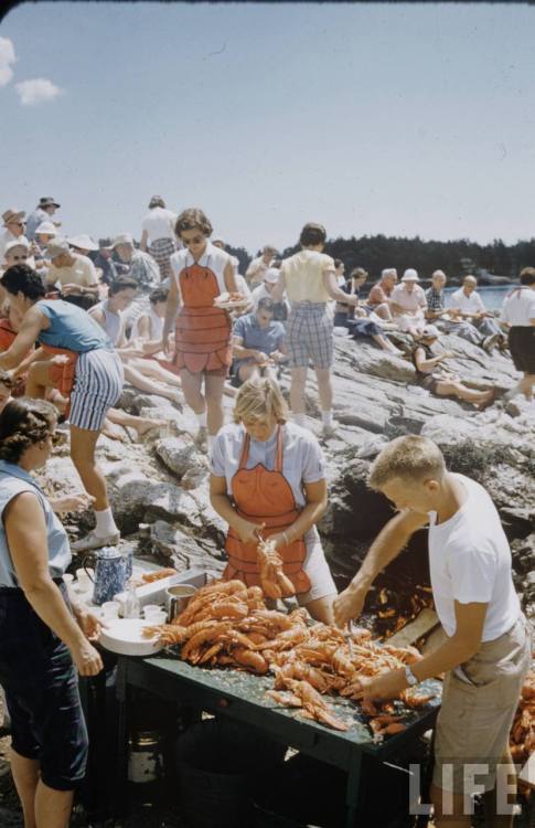 Lobster in New England(Dmitri Kessel.1958?)