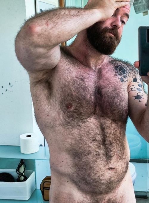 bears0 - 🐻Bears🐻