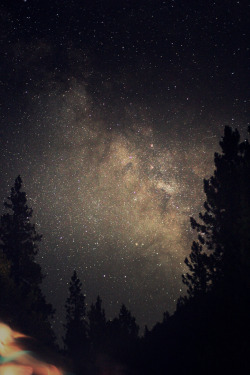 brutalgeneration:  Ghosts of the Sky (by