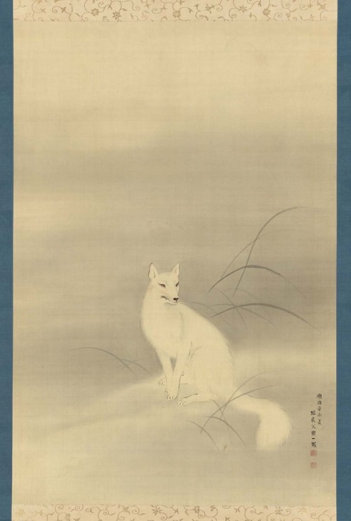 heaveninawildflower:‘White Fox’ (1871).Silk painting by Mori Ippô (Japanese, 1798–1871).Image and te