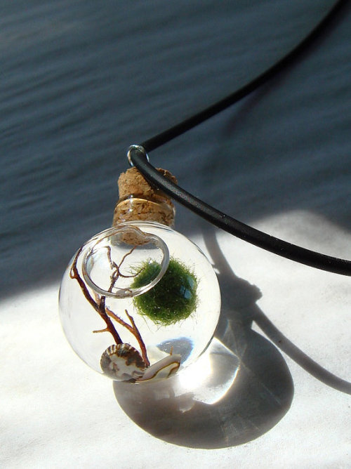 wickedclothes:Mini Terrarium NecklaceCarry tiny life around your neck every day. This mini terrarium