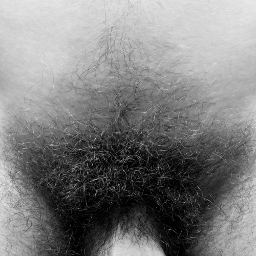 aureliomonge:  Natural y salvaje
