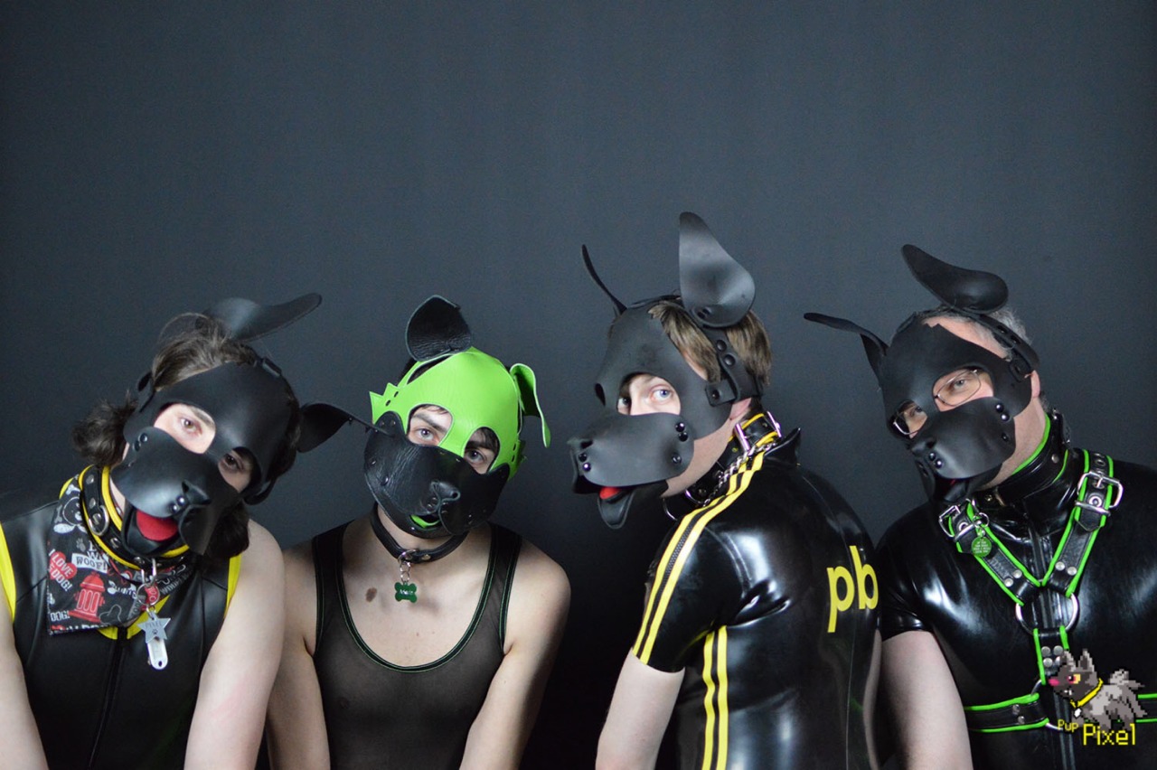 puppixel:  Some of the pups from Social. Aren’t they cute.   Left to right we have