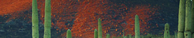 7020df90f358fbc5b1c94f0d8a2fdefd64fa1091.png