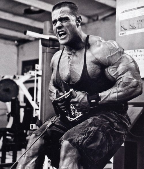 musclejake69:Evan Centopani