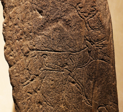 Carved Deer Rock Art, 10th century CE, National Museum of Scotland, Edinburgh, 11.11.17.