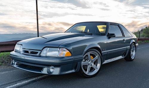 Crazy like a Fox. Mike Smith has owned his 1991 Ford Mustang GT since 2005, but got serious about it