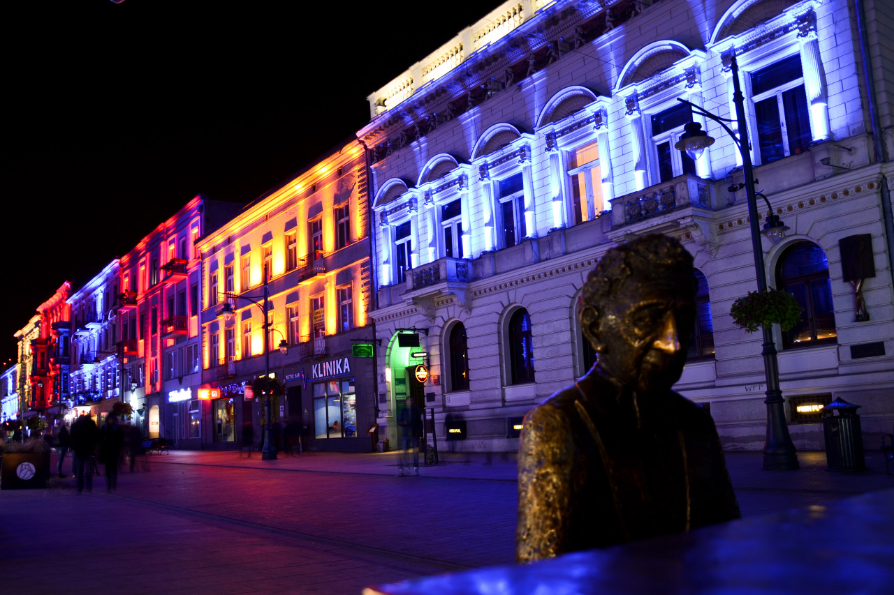 Light Move Festival, Piotrkowska, Łódź, 2015
BehindTheDiaphragm