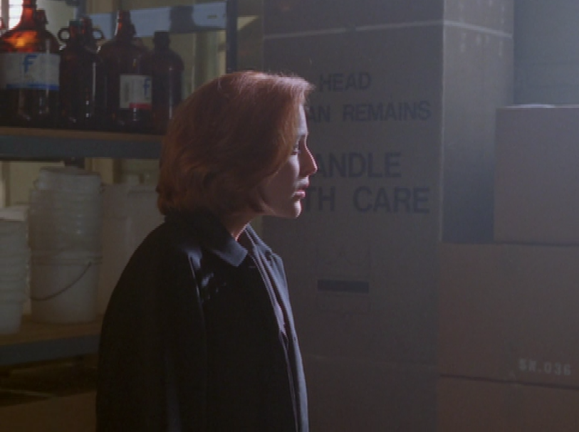 The signs as our favorite out-of-context x-files screen-caps.