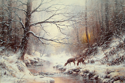 nymphaeaalba:  A Warm Glow of Winter   By Joe Hush 