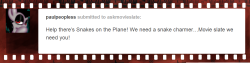 askmovieslate:Get it!? Because snakes…on a plane…pony! Haha!