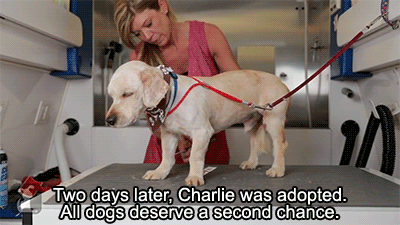 huffingtonpost:  This makeover literally saved Charlie’s live. See the full video