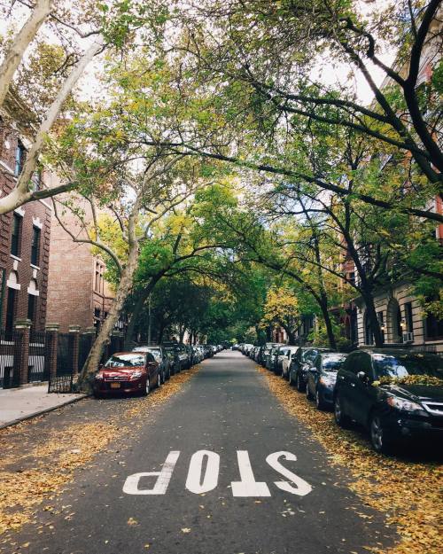 divergram:  home sweet Brooklyn by lec101 http://ift.tt/1VXMB5L