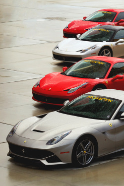 italian-luxury:  Four-rrari