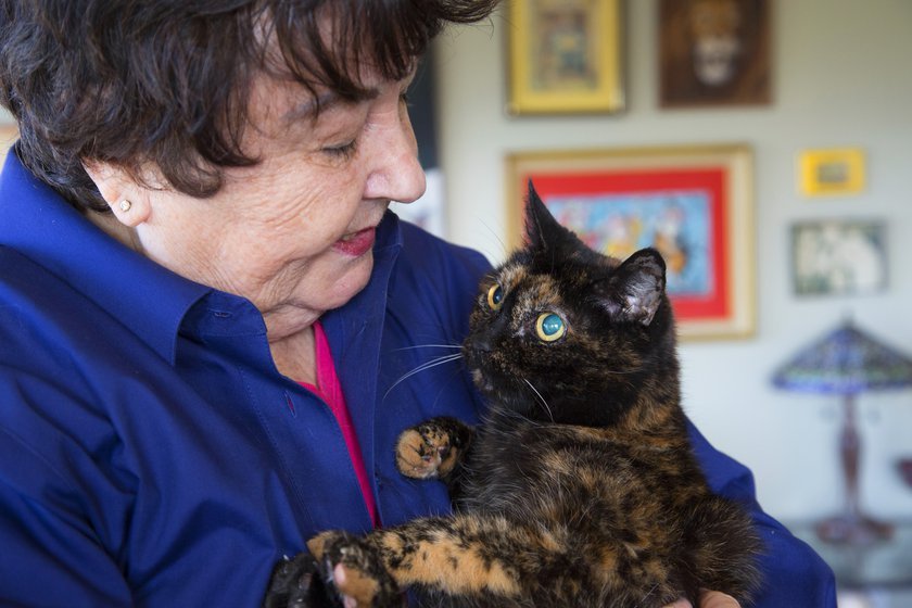 Fuckyeahfelines Worlds Oldest Living Cat AnnouncedNew Guinness World 