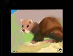 eshyell:  a painted weasel for MDGusty :3  Thanks.  Love it!