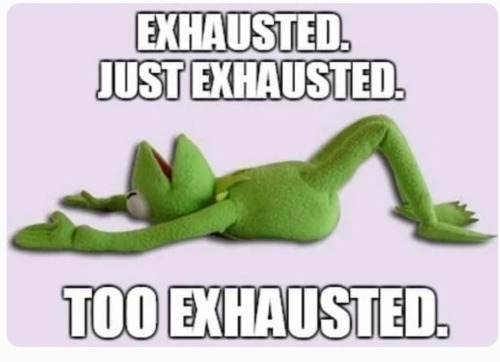 Exam Week With 6 Brothers In The House 