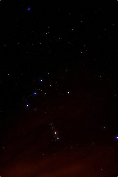 thepaledescendant: My only worthwhile shot of stars.