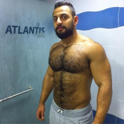 Arab Muscle Dudes