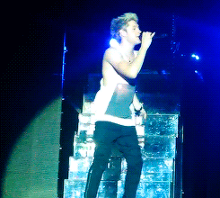 one-harrystyles:  Niall being the cutest x 