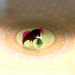 elioli-art: