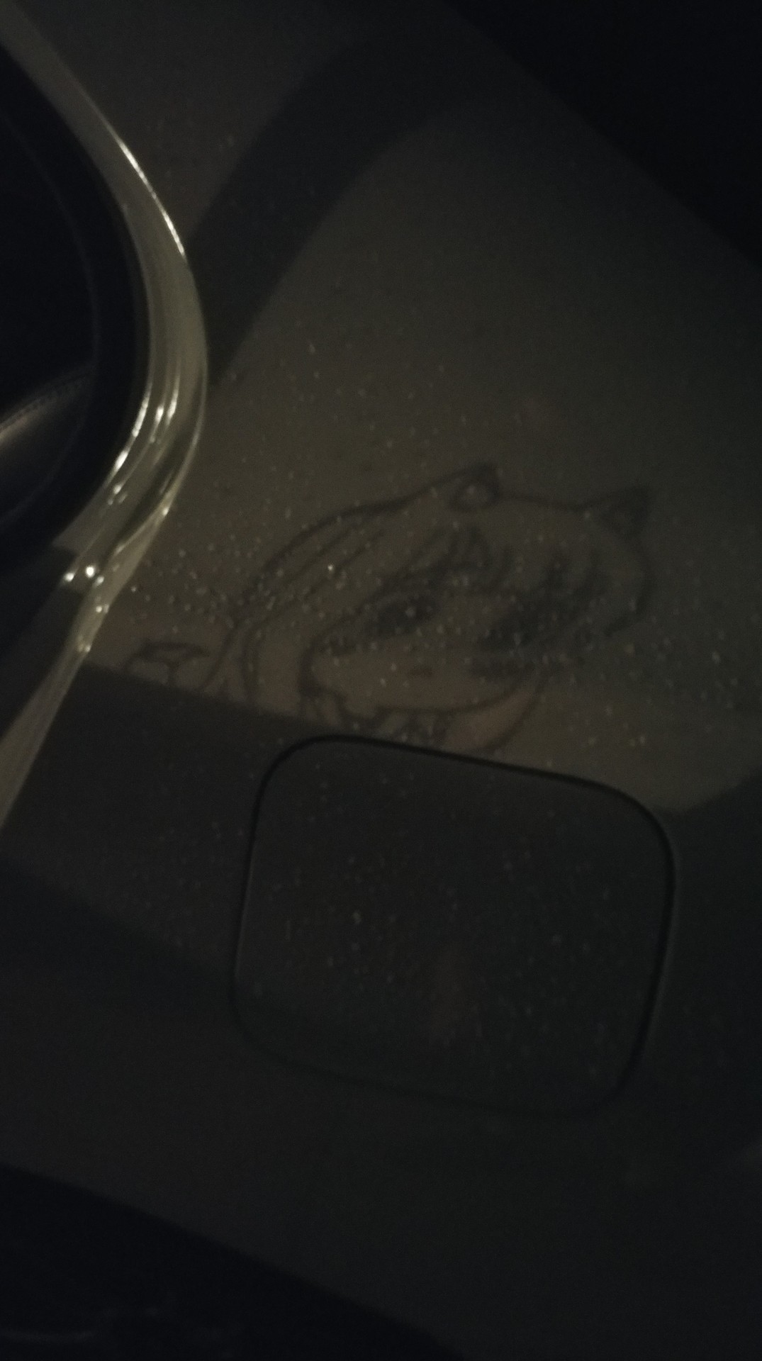 lunaismaiwaifu:Also I noticed when I open my door, my Holo sticker leaves a shadow
