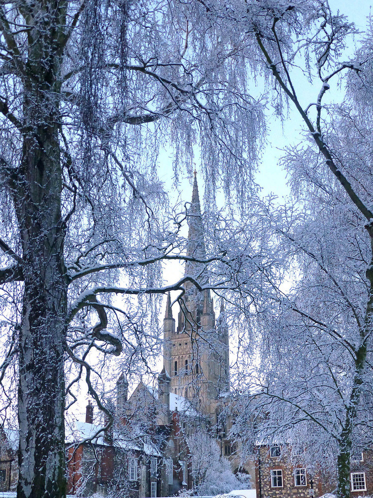 old-arcadia:
“ Norwich Cathedral, Norfolk, England (by mira66)
”