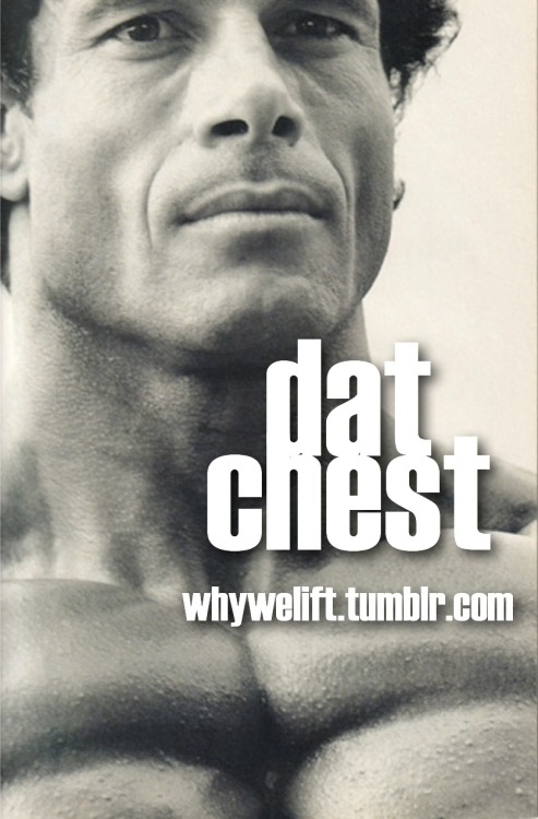 whywelift:  Dat Chestwhywelift.tumblr.com