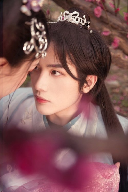 ziseviolet:A traditional Chinese Hanfu photo-story depicting an encounter amid peach blossoms, via 莲