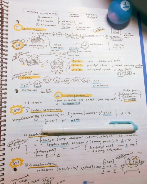 Bio notes.Final on: 12/12#%^* me up DNA